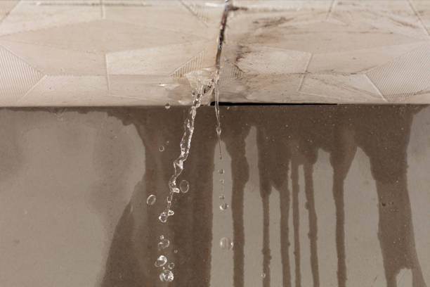 Professional Water Extraction technician working in La Crosse, KS